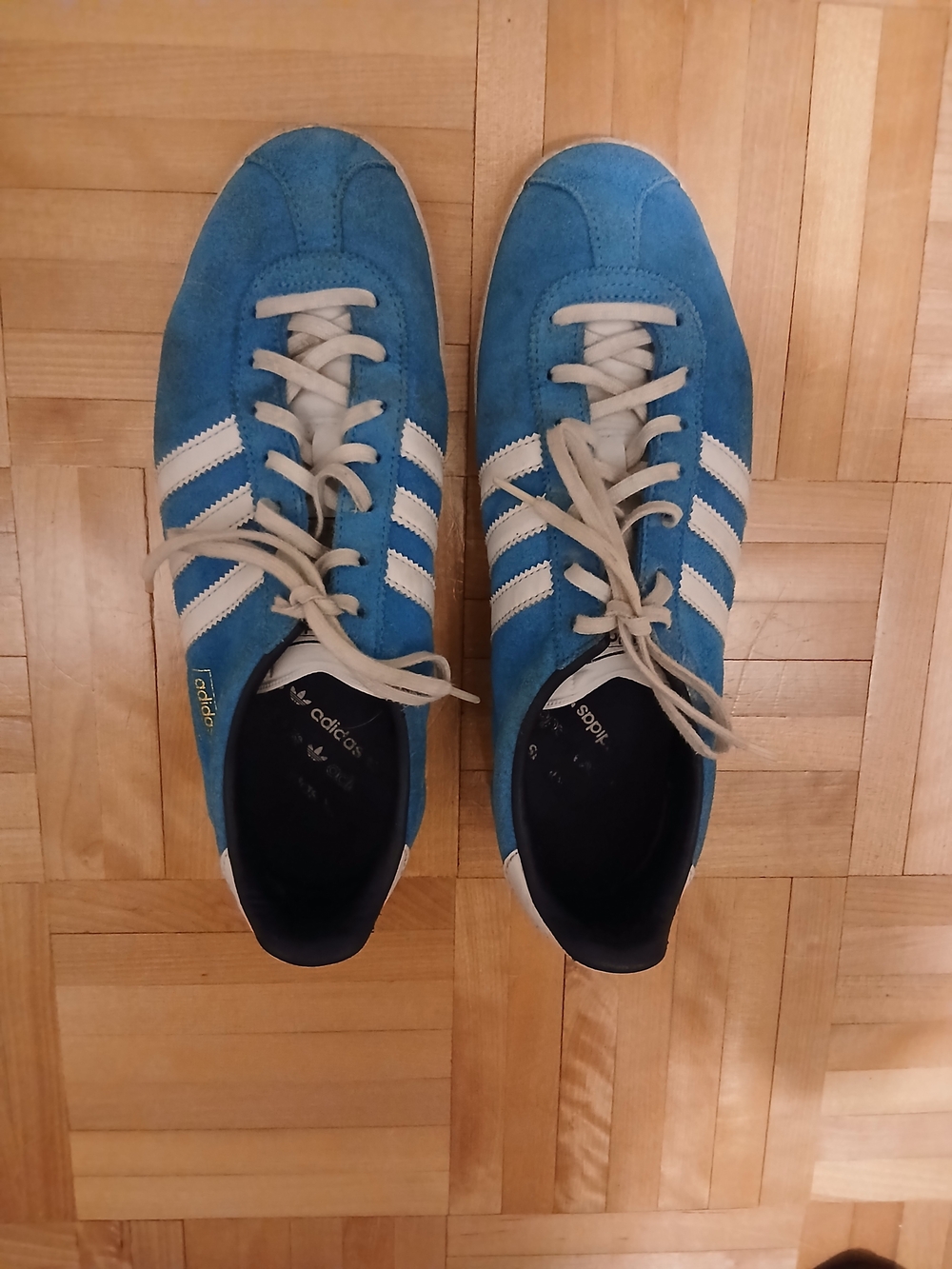 Adidas  Gazelle Suede Sneakers in Blue and White